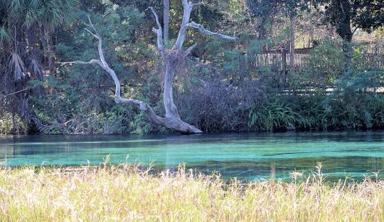 Dunnellon , FL Septic Tank Services