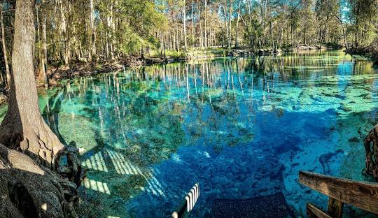 High Springs, FL Septic Tank Services