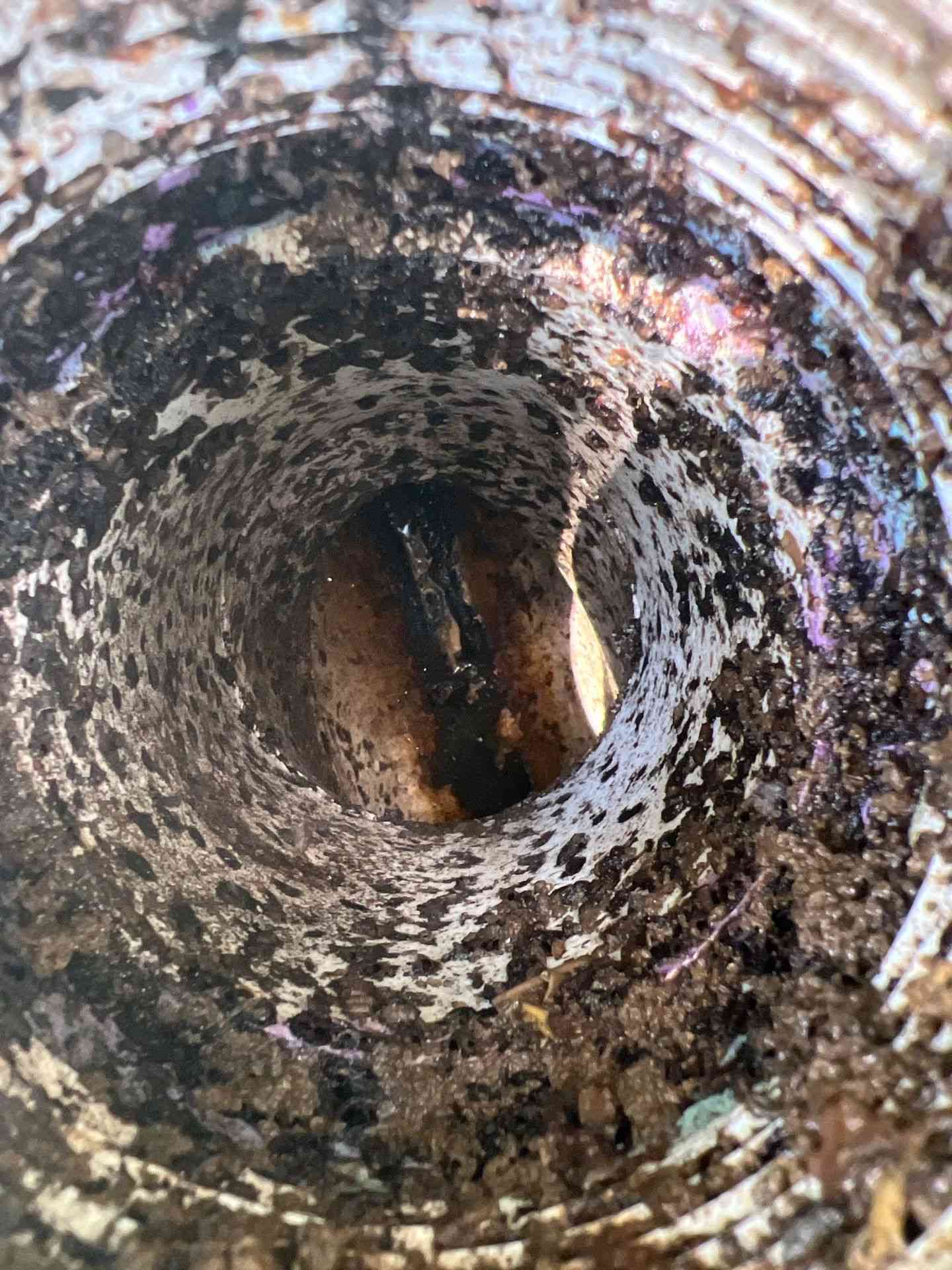 septic tank services near me