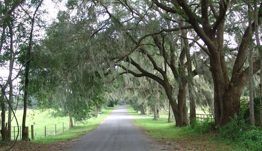 Septic Tank Services- Williston, FL
